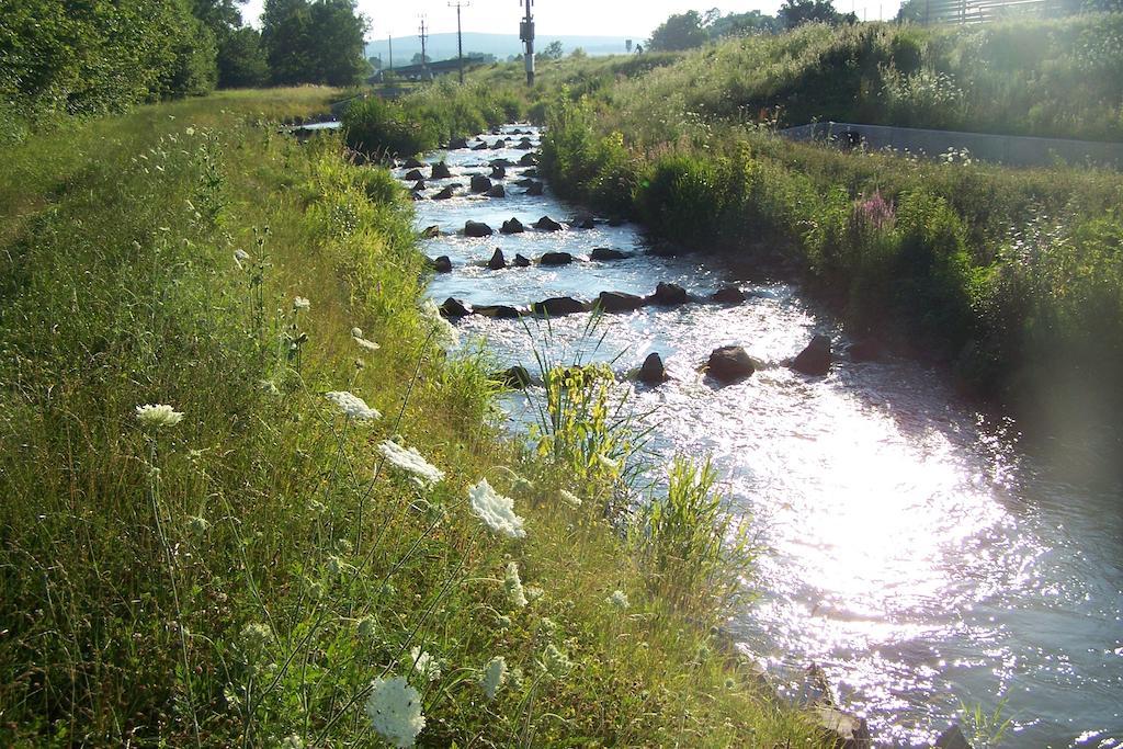 Penzion U Dyje Bulhary Exterior foto